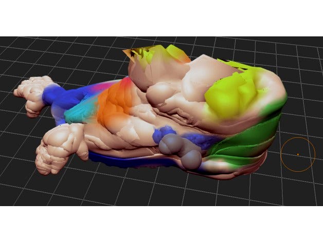 Millie Trainer Hands by factlearning