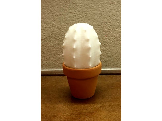 Cactus 1 by elliotjackson