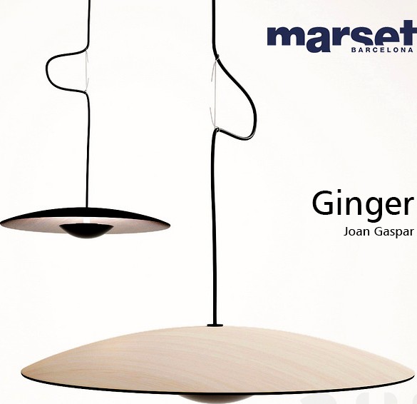 Ginger