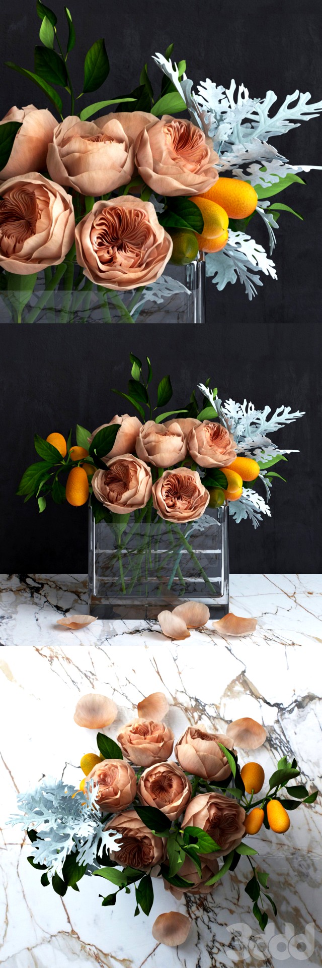 Bouquet of Austin&#039;s Roses, Kumquat and Dusty Miller plant