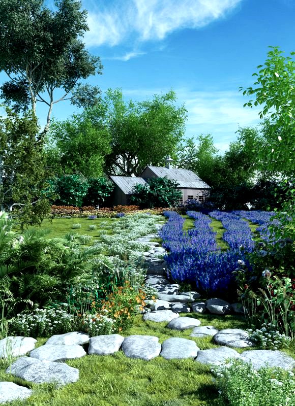 Lavender field3d model