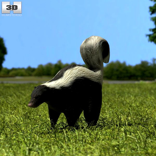 Skunk3d model