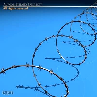 Barbed wire3d model