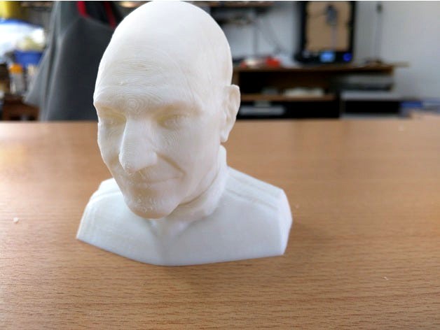 Patrick Stewart Bust - Splitted by tristangrimaux