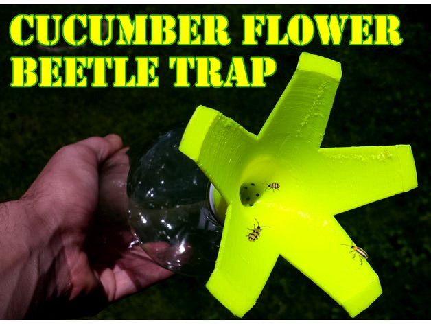 Cucumber flower beetle trap by jailcee
