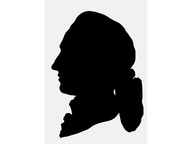 Goethe silhouette by AlexeyChepenko