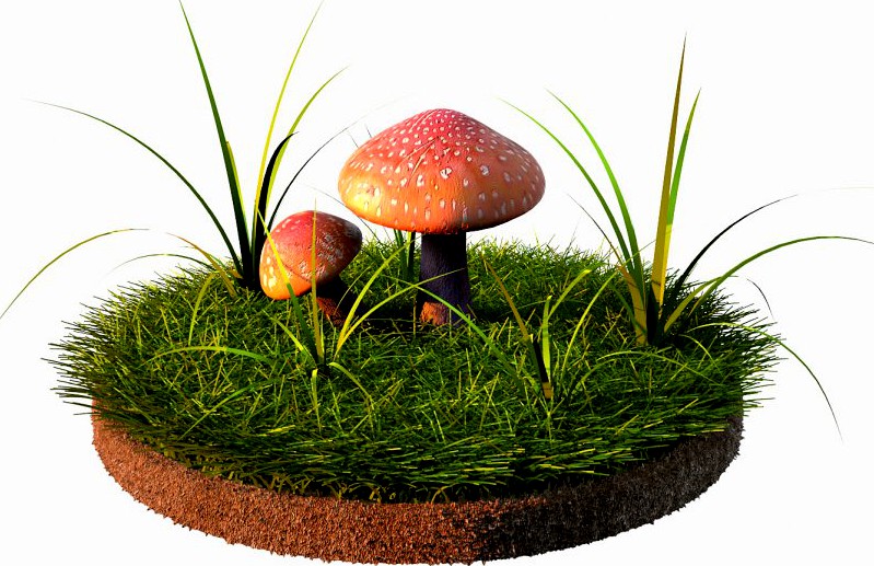 Mushrooms3d model