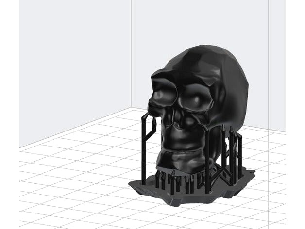 Skeleton by HuangAro