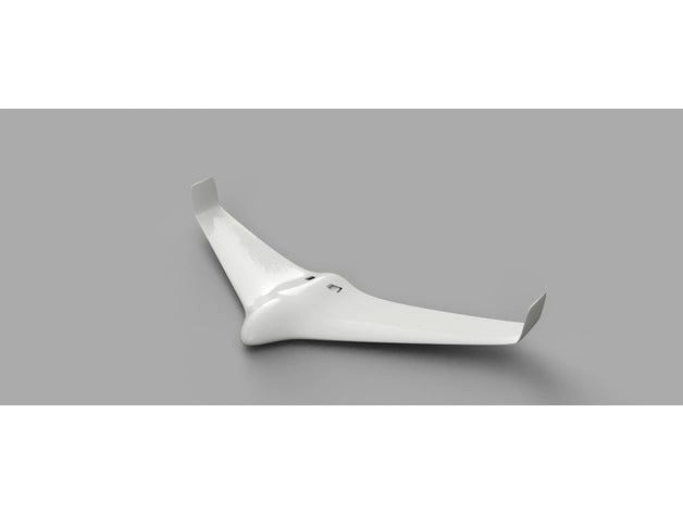 RC Flying Wing (In progress) by Jaipalsk