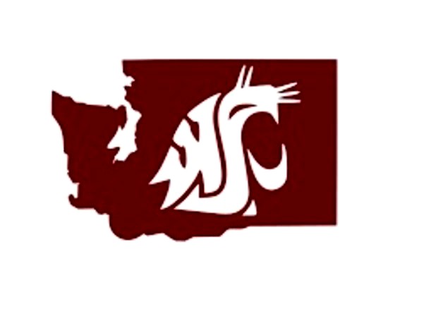Washington State University by tallen43