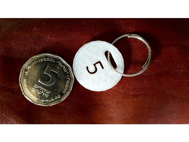 5 NIS coin by shaibl