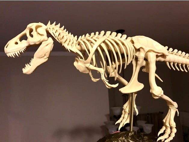 T-Rex Skeleton fixed and printable by icefox1983