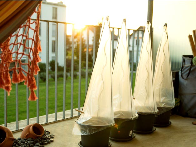 Tomato Greenhouse for Pot Growing Tomatos by ewap