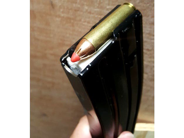 450 Bushmaster Follower by heybeerman04