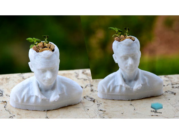 flower pot by samir3dp