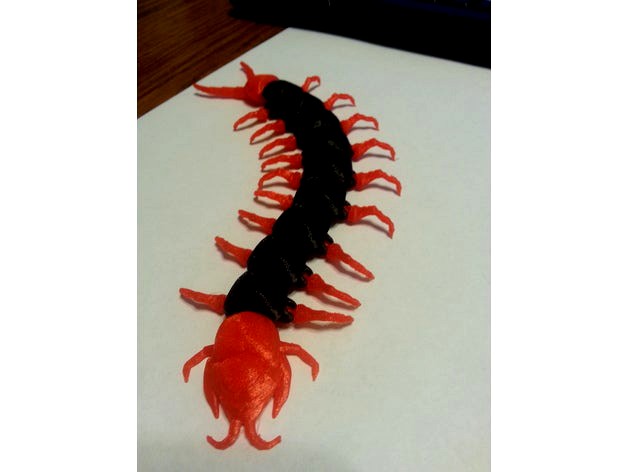 print-in-place articulated centipede by I-see-3D