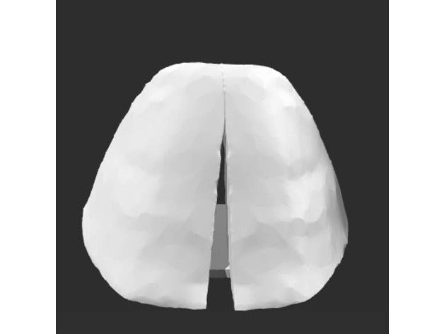 Deer hoof  by MatthewMeasly