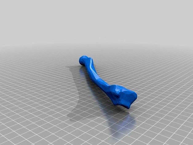 Radius by Open3DAnatomy