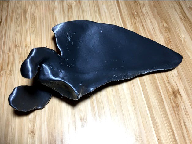 Scapula by Open3DAnatomy