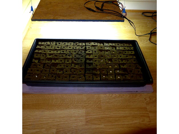Seed starter for 1" grow cubes by eussrh