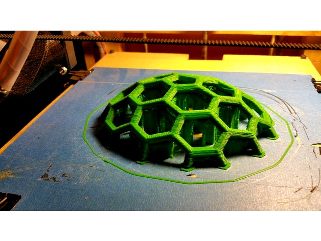 Turtle Shell Brace by Animal_Crackers