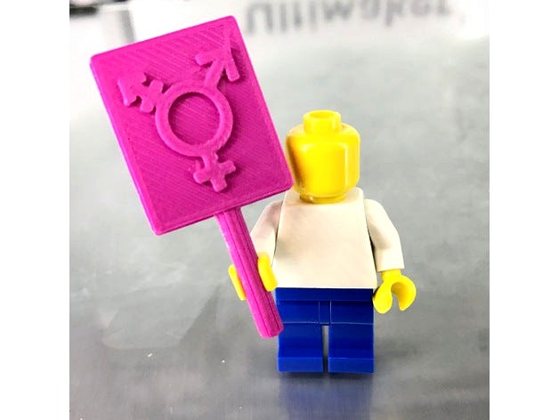 Minifig Transgender Sign by DesignMakeTeach