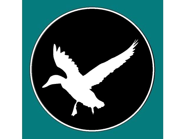 Duck in Flight by wslab