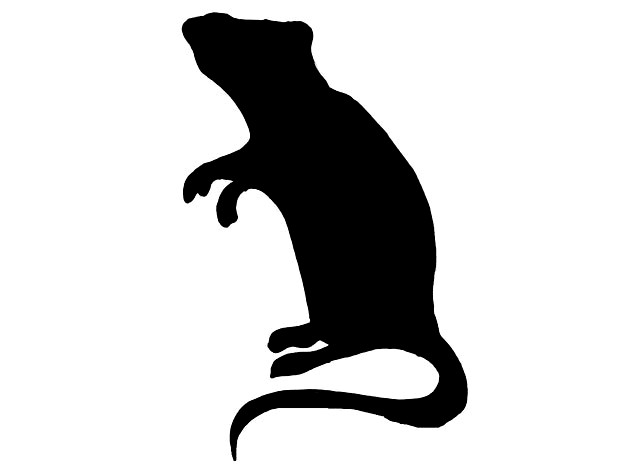Rat Stencil by Takethetopoffofit