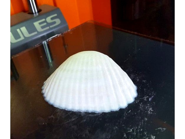 3D Seashell by sysmes