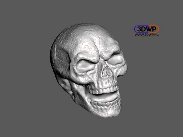 Skull Sculpture 3D Scan (Including Hollow Version) by 3DWP