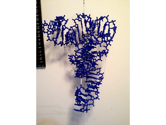 tRNA-Phe, ball-and-stick model by shocksofmighty