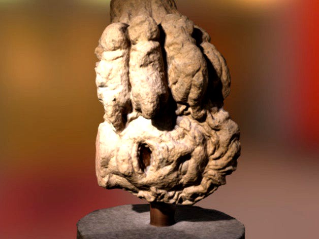 A severed head by GeoffreyMarchal