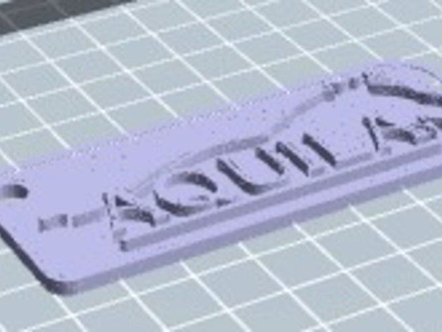 Aquila Key Ring by ThomasKadmon