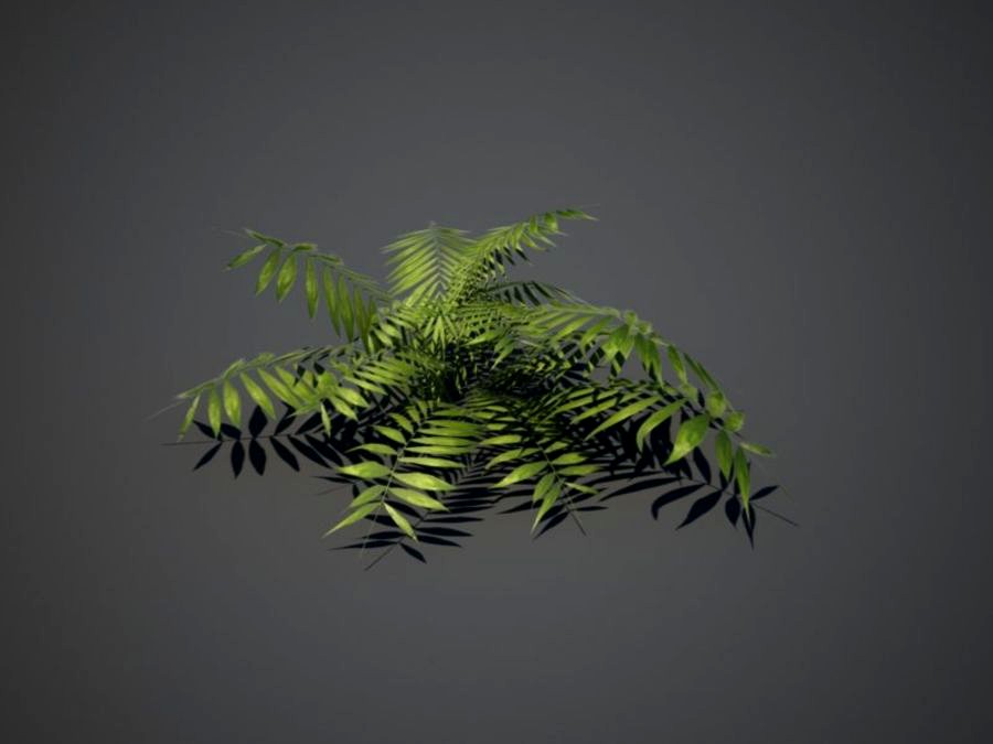 Low poly fern