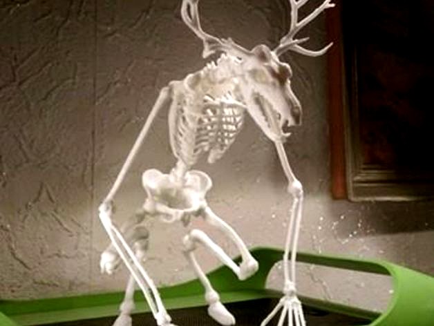 Unknown Creatures N° 1 - Wendigo Skeleton by lordlilapause