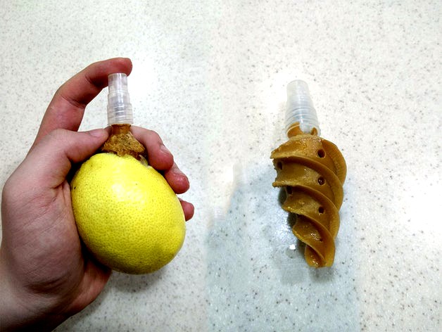 Screw-in Lemon Mister! by Y_Dascalu