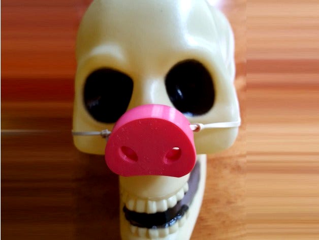 Pig Snouts for the Whole Family by barb_3dprintny