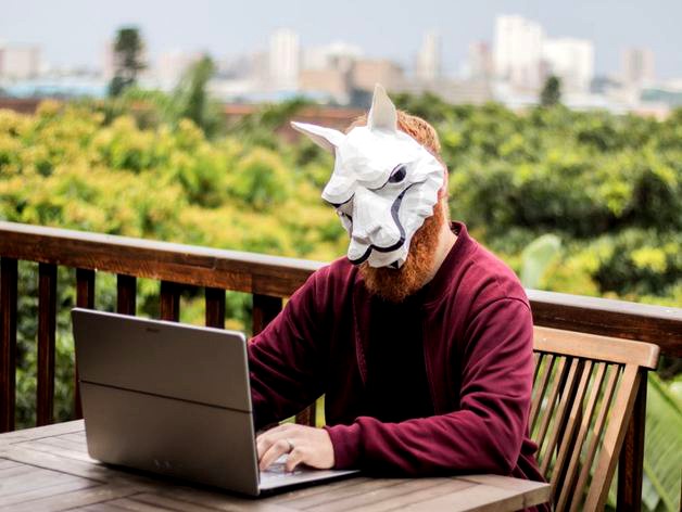 Low Poly Llama Mask by roguemat