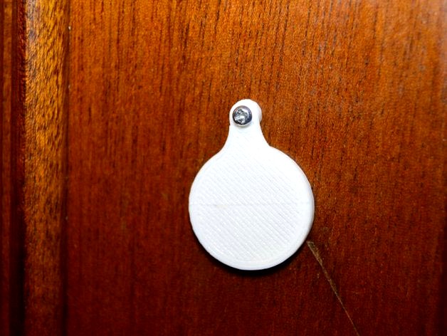 PeepHole cover by RuiRaptor