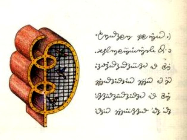 Bird cage design_codex seraphinianus by TomasLA