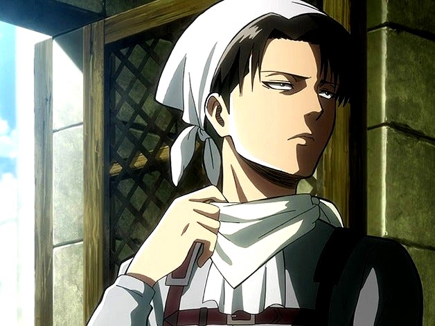 Attack on titan: Levi-cleaner  by vick54jr