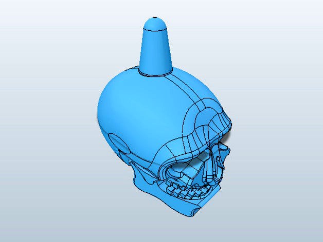 Fishing Bobber - Skull  by SavageWarlord