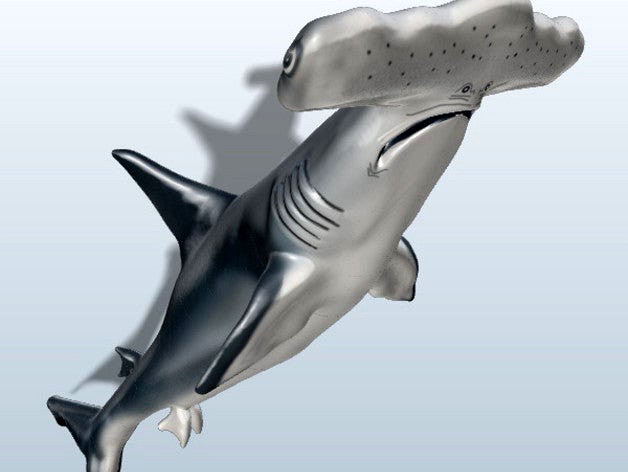 Great Hammerhead Shark  by SavageWarlord