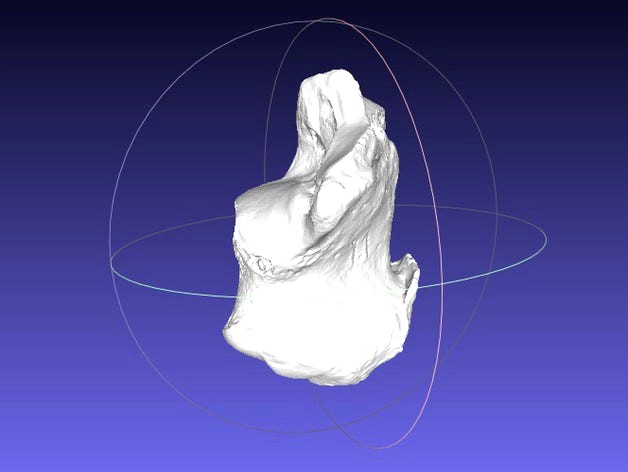 High resolution Human Calcaneus (Heel Bone) Scan by dricketts