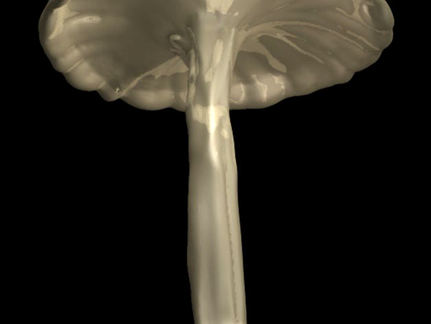 Mushroom by Wolfiest