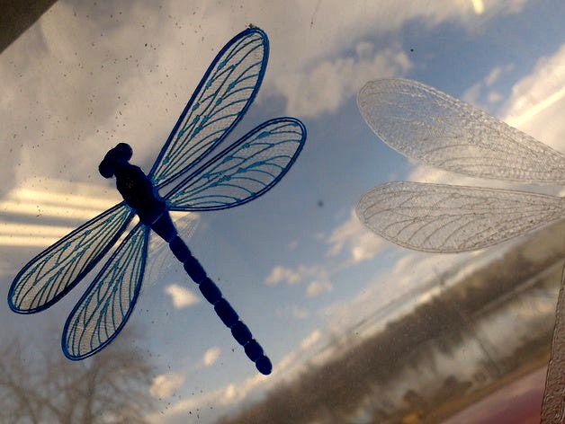 Translucent Dragonfly Necklace by FlexionExtruder