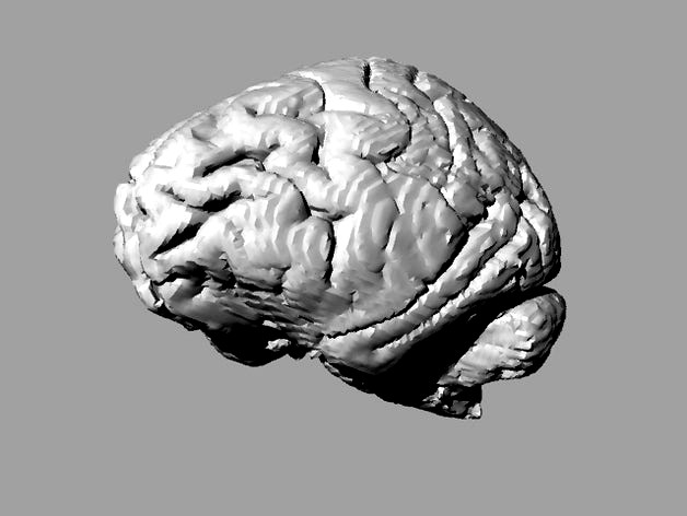 Gorilla brain by neurothing