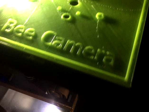 Honey Pot Hive Bee Camera by arbus