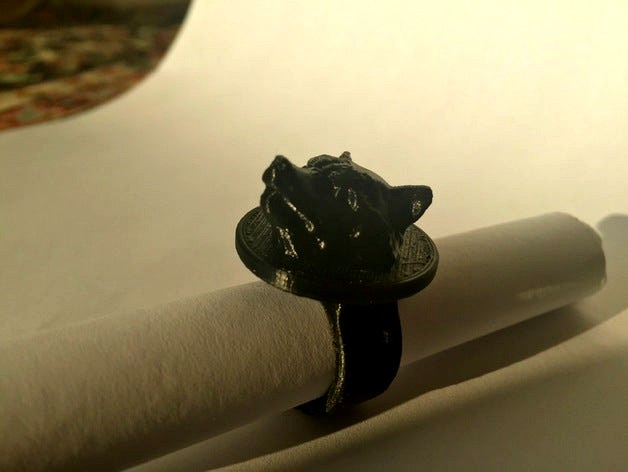 Rocket Raccoon ring for Eliza by Opossums