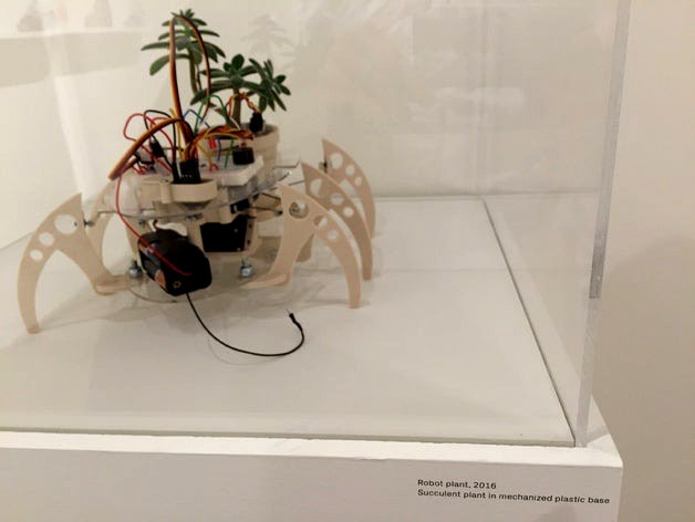 Walking plant hexapod robot by Secondrobotics